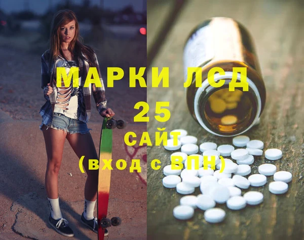 крисы Алзамай