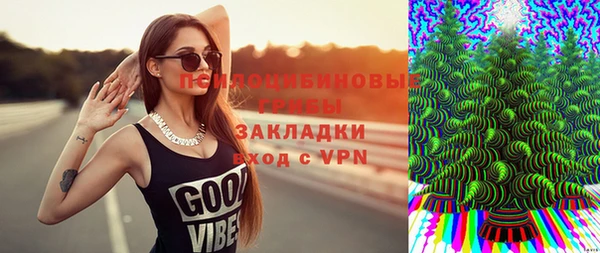 крисы Алзамай