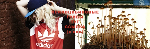 ешки Алексеевка