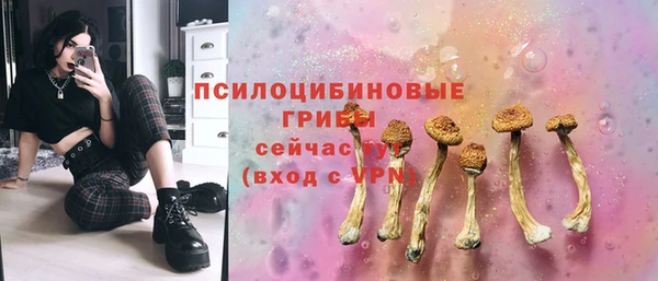 крисы Алзамай