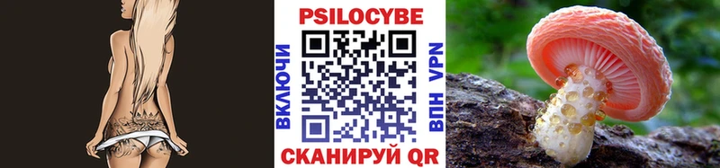 Псилоцибиновые грибы Magic Shrooms omg рабочий сайт Анжеро-Судженск как найти закладки