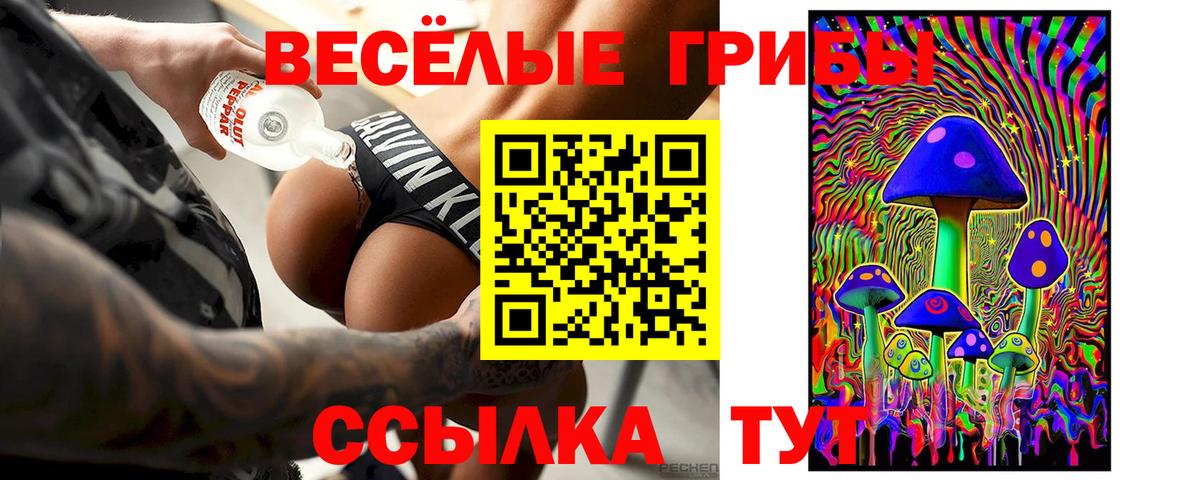 цена   Галлюциногенные грибы MAGIC MUSHROOMS  Вход с VPN  Анжеро-Судженск 